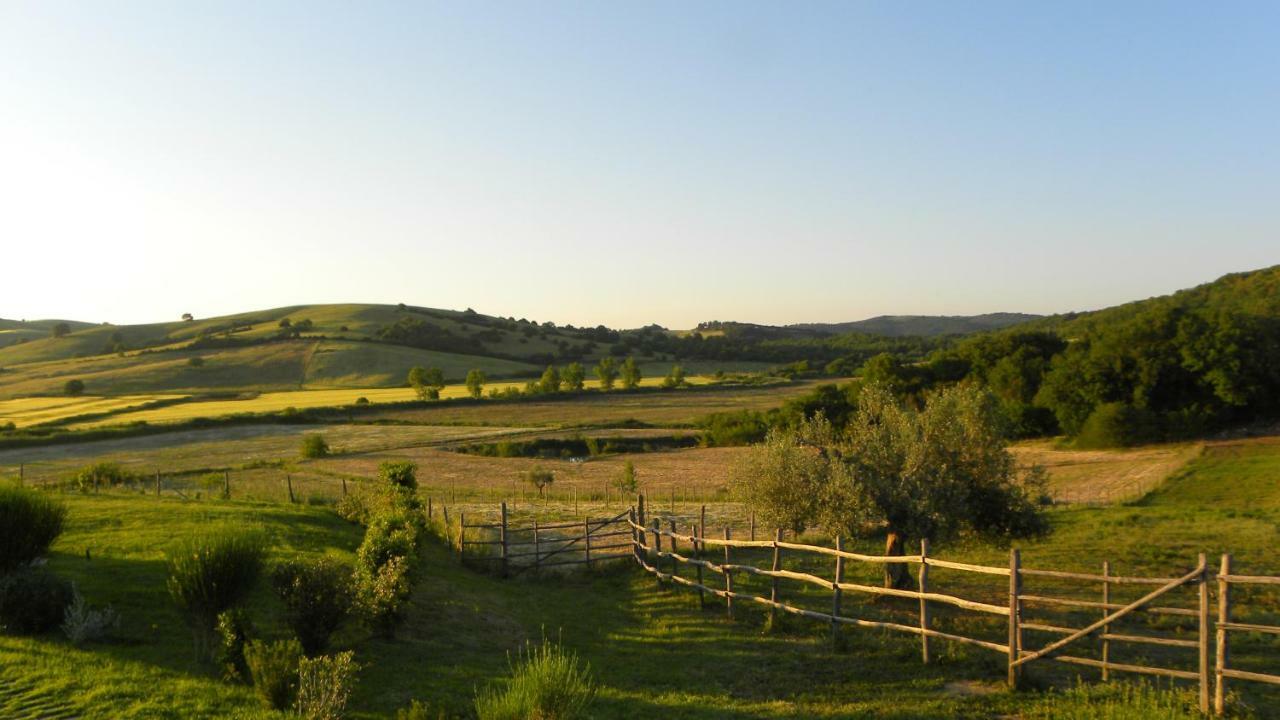 Macchiabuia Bed and Breakfast Capalbio Εξωτερικό φωτογραφία